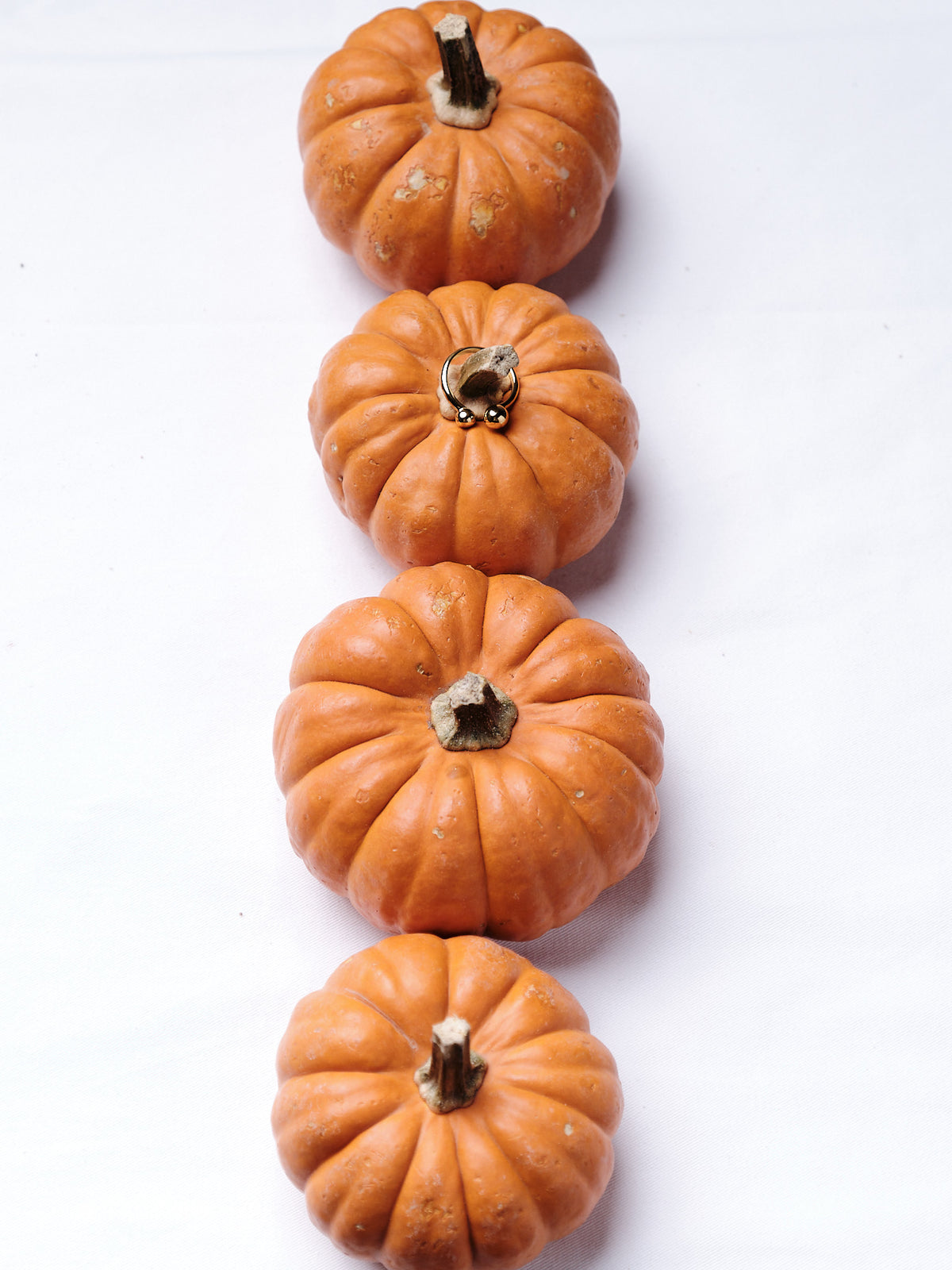 Orbital ring on a stack of miniature pumpkins