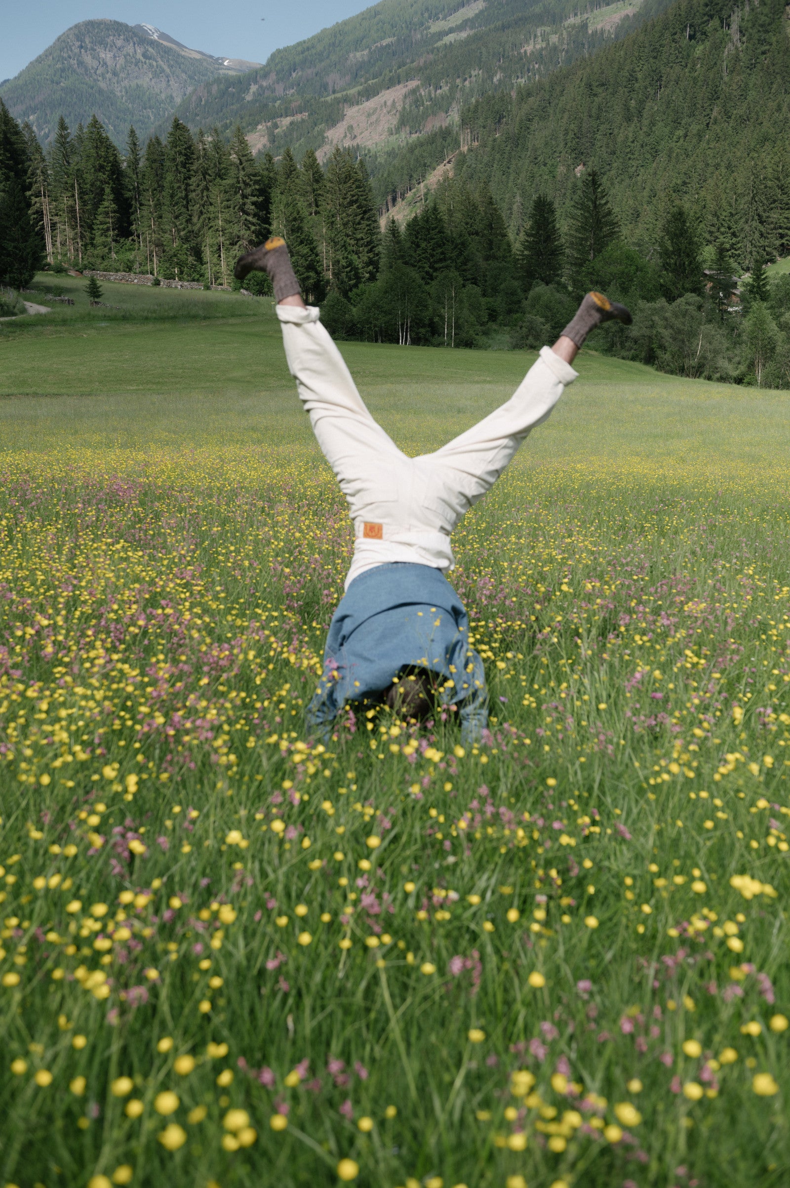 Person doing a handstand in a wildflower meadow